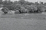 CapTexTri_25May09_11