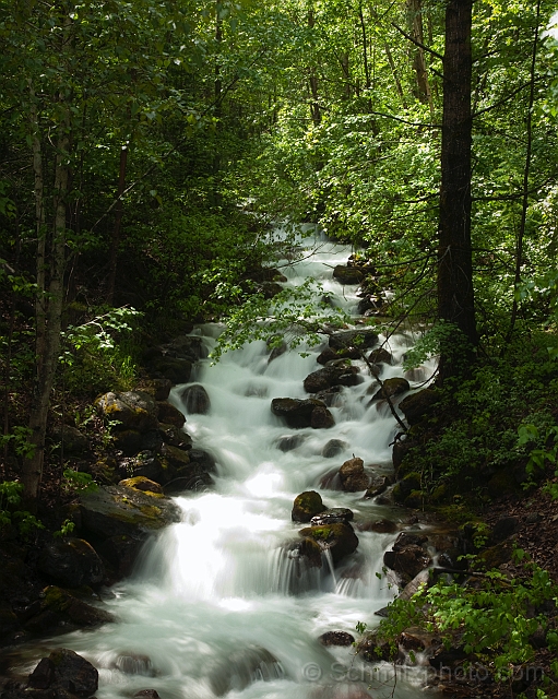 Montana_Jun09_020e.jpg