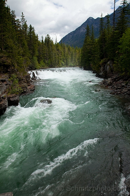 Montana_Jun09_036.jpg