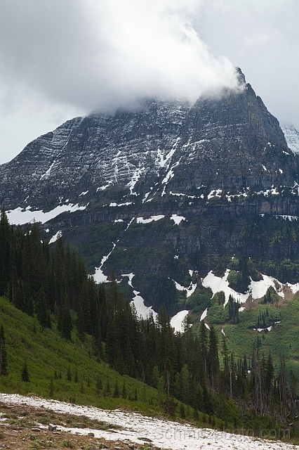 Montana_Jun09_058.jpg