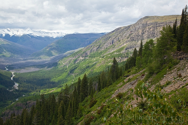 Montana_Jun09_081.jpg