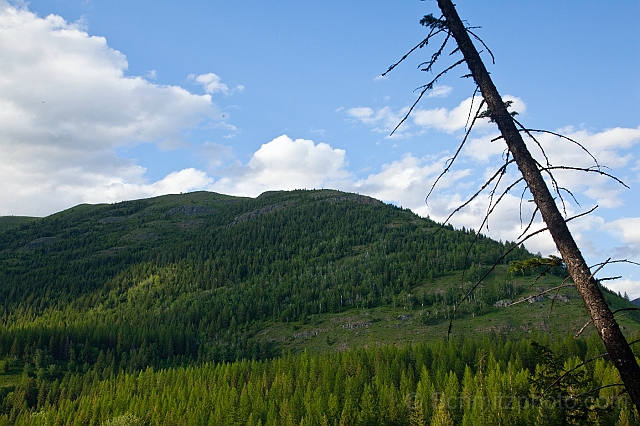 Montana_Jun09_104.jpg