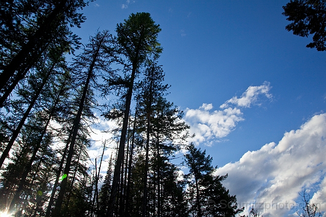 Montana_Jun09_105.jpg