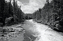 Montana_Jun09_038