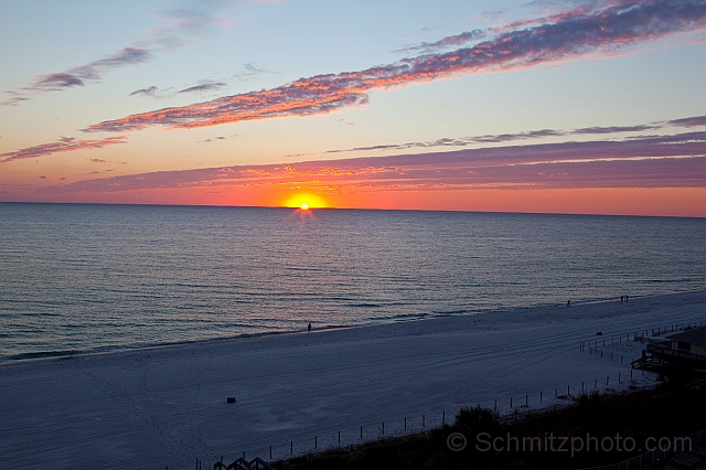 Florida_Ironman_20101106_014.jpg