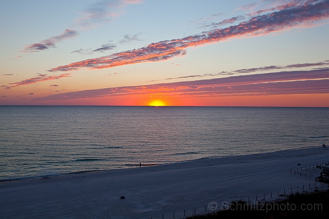 Florida_Ironman_20101106_016.jpg