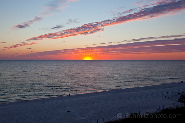 Florida_Ironman_20101106_017.jpg