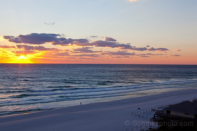 Florida_Ironman_20101106_026.jpg