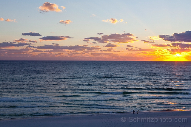 Florida_Ironman_20101106_027.jpg