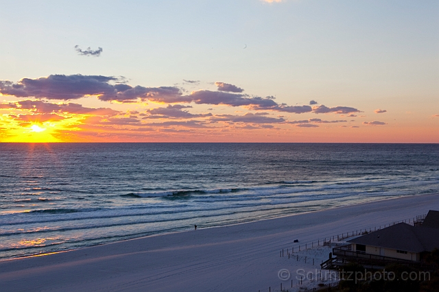 Florida_Ironman_20101106_028.jpg