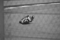 MotoGP_20150412_060