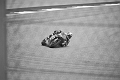 MotoGP_20150412_088